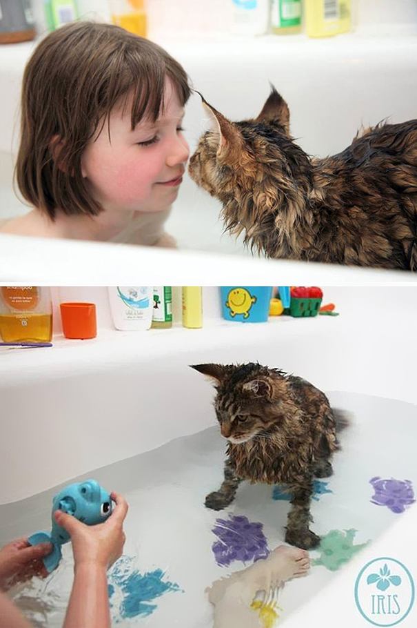 cat-loves-water-bath-421__605 (1)
