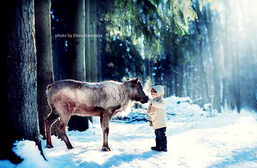 animal-children-photography-elena-karneeva-132__880