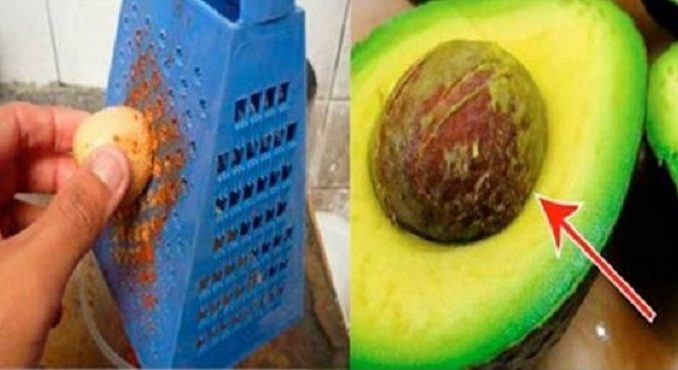 benefícios do caroço do abacate
